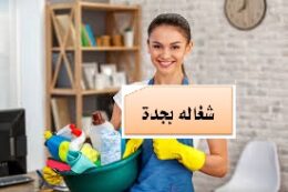 شغالات بالشهر الحمدانية